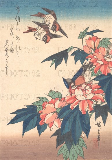 Swallows and Kingfisher with Rose Mallows , ca. 1838., ca. 1838. Creator: Ando Hiroshige.