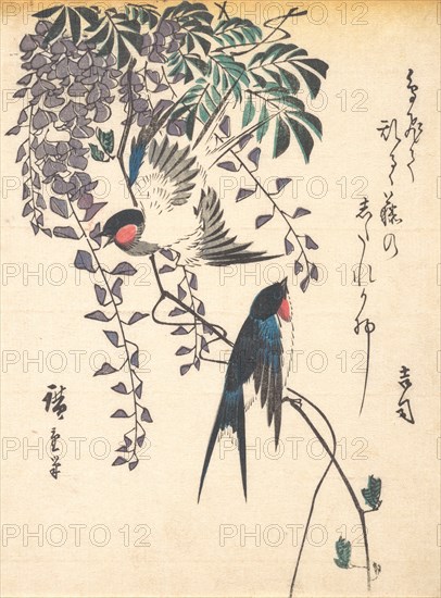 Swallow and Wisteria, mid-1840s., mid-1840s. Creator: Ando Hiroshige.