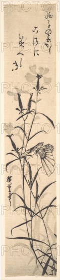 Black and White Print of Butterfly and Flower (a Pink). Creator: Ando Hiroshige.