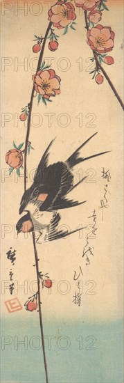 Pear Blossoms and Swallows, ca. 1840., ca. 1840. Creator: Ando Hiroshige.