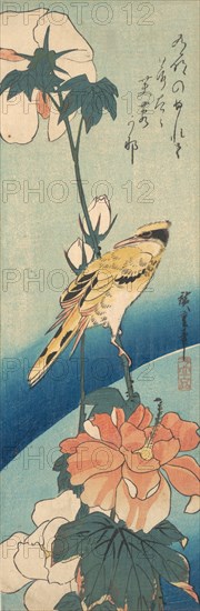 A Black-Naped Oriole on a Stem of Rose Mallow, ca. 1834., ca. 1834. Creator: Ando Hiroshige.