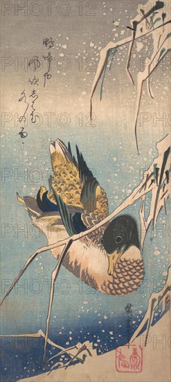 A Wild Duck near a Snow-laden Shore, ca. 1843., ca. 1843. Creator: Ando Hiroshige.