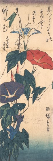 Morning Glories, ca. 1843., ca. 1843. Creator: Ando Hiroshige.