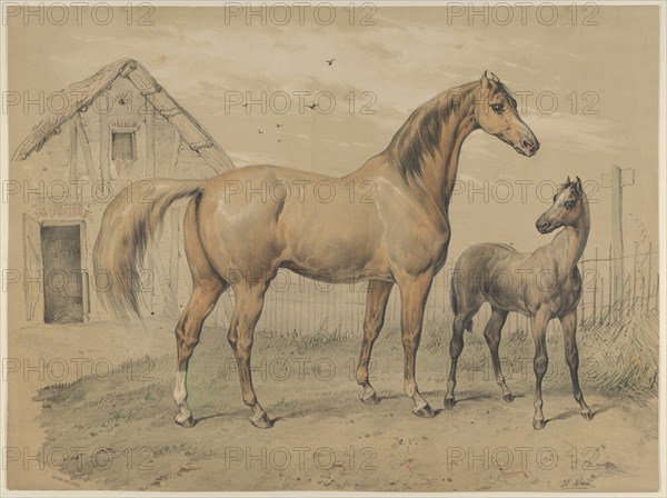 Mare and Foal, 19th century.