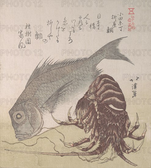 Tai Fish and Lobster; Specialities of Yanagiya in Odawara-cho, 19th century.