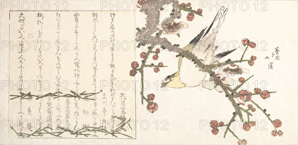 Bush Warbler on a Plum Branch (Ume ni uguisu), early 19th century.