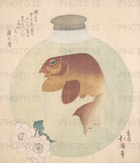 Gold-Fish in a Glass Bottle, 19th century.