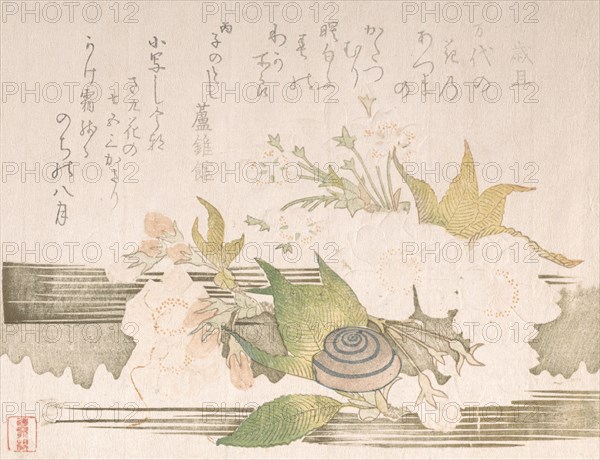 Cherry Blossoms and a Snail, 1816.