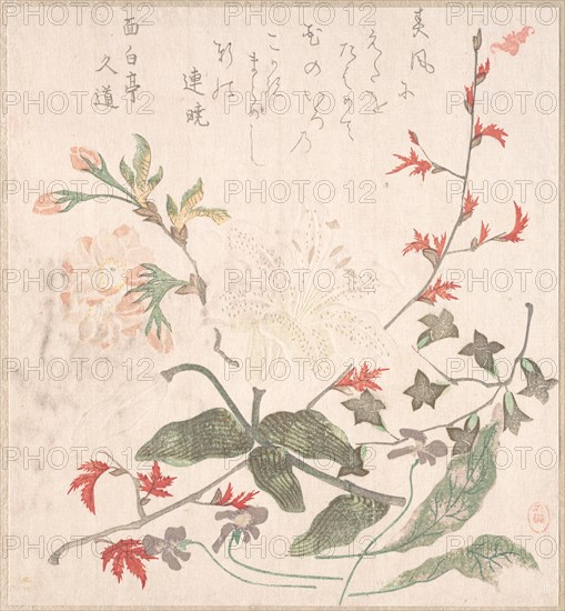 Lily, Violets, Cherry Blossoms, Forsythia, and a Branch of Red Maple, 18th-19th century.