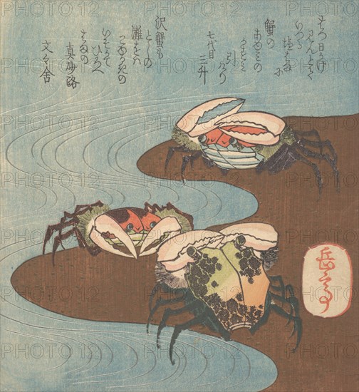 Crabs Near the Water's Edge, ca. 1830.