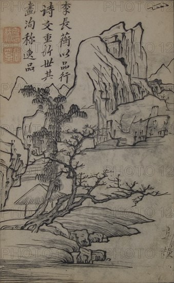 Summer and Paulownia Tree (A Page from the Jie Zi Yuan).