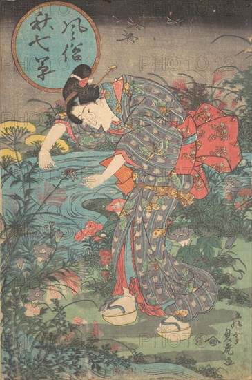 Fashionable Seven Autumn Plants (Fuzoku aki nanakusa), first half of the 19th century.
