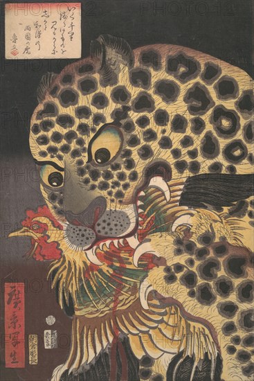 ?The Tiger of Ryokoku,? from the series True Scenes by Hirokage , 8th month, 1860.