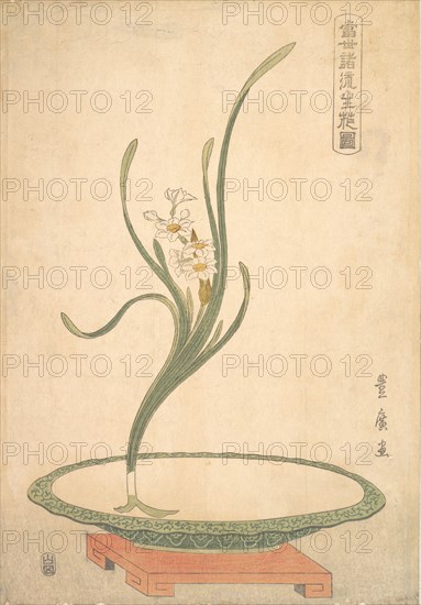 Flower Arrangement of Suisen (Narcissus) in a Flat Green Dish.