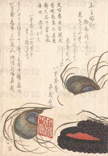 Seal-stone and Seal-ink with Peacock Feathers, from Spring Rain Surimono Album (Harusame surimono-jo), vol. 1, probably 1817.