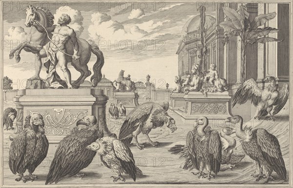 Residences Memorables de l'Incomporable Heros de Nôtre Siècle, ou Edifices et Jardins de Son Altesse Serenissime Monsigneur Le Prince Eugene François de Savoye et de Piedmont, 1731-40. [Birds of prey].