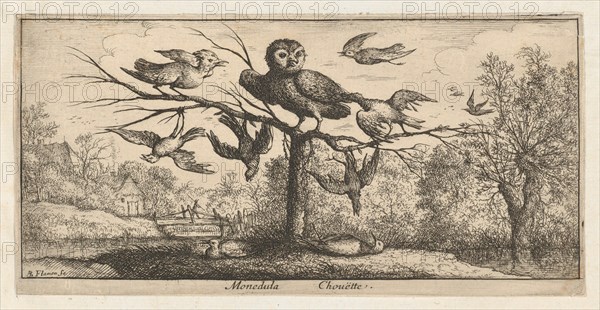 Monedula, Chouëtte (The Owl): Livre d'Oyseaux (Book of Birds), 1655-1660.