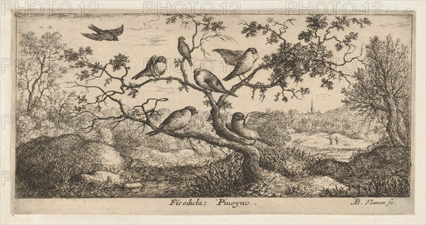 Ficedula, Piuoyne (The Bullfinch): Livre d'Oyseaux (Book of Birds), 1655-1660.