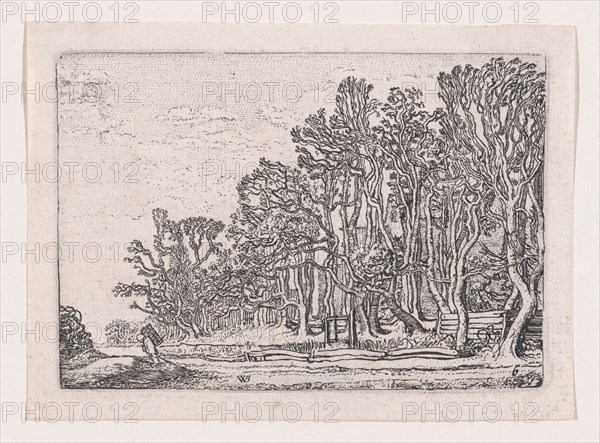 Two Plank Hedges, from Verscheyden Landtschapjes (Various Little Landscapes), Plate 6, ca. 1616.