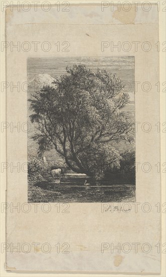 The Willow, 1850.