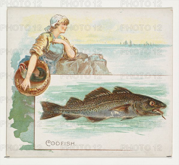 Codfish, from Fish from American Waters series (N39) for Allen & Ginter Cigarettes, 1889.