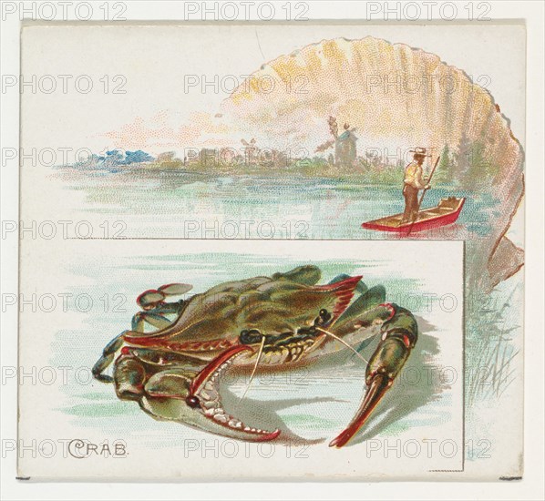 Crab, from Fish from American Waters series (N39) for Allen & Ginter Cigarettes, 1889.