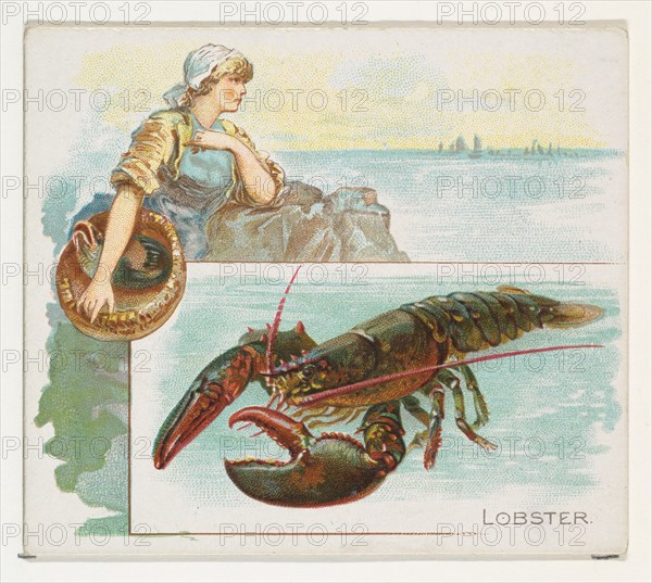 Lobster, from Fish from American Waters series (N39) for Allen & Ginter Cigarettes, 1889.