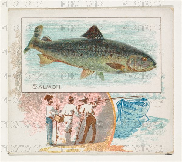 Salmon, from Fish from American Waters series (N39) for Allen & Ginter Cigarettes, 1889.