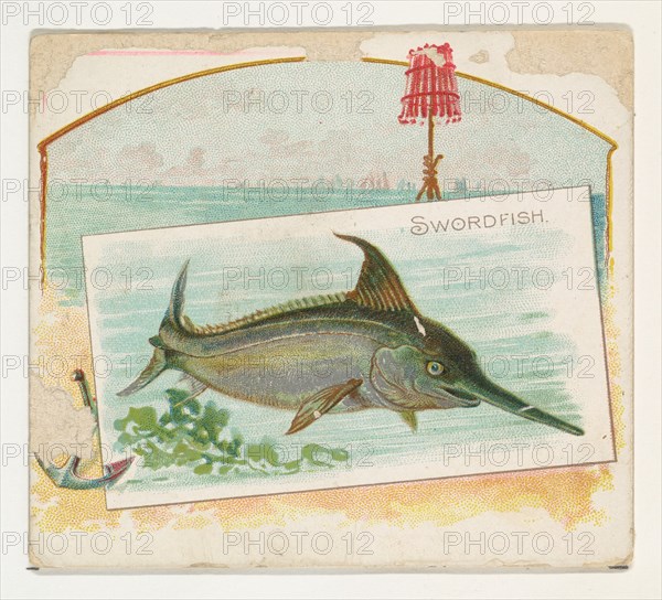 Swordfish, from Fish from American Waters series (N39) for Allen & Ginter Cigarettes, 1889.