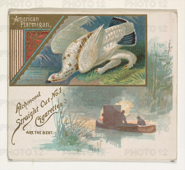 American Ptarmigan, from the Game Birds series (N40) for Allen & Ginter Cigarettes, 1888-90.