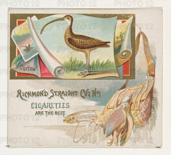 Curlew, from the Game Birds series (N40) for Allen & Ginter Cigarettes, 1888-90.