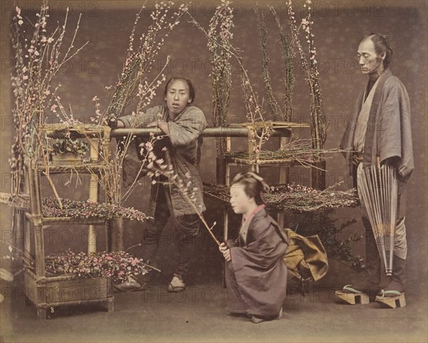 [Two Japanese Men and One Japanese Woman Posing with Flowering Branches], 1870s.