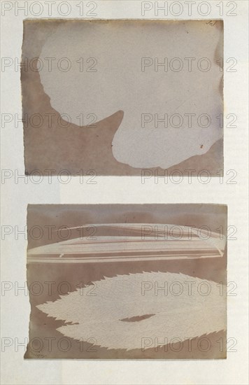 [Photogenic Drawing from Leaf], 1839-40.