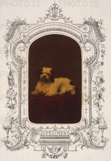 Les Chiens, 1860s.