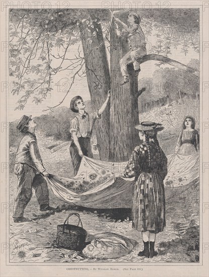 Chestnutting (Every Saturday, Vol. I, New Series), October 29, 1870.