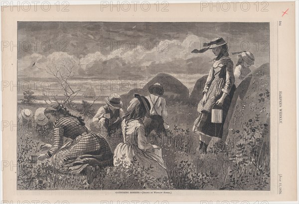 Gathering Berries (Harper's Weekly, Vol. XVIII), July 11, 1874.