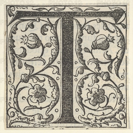 Initial letter T with garlands, mid-16th century.