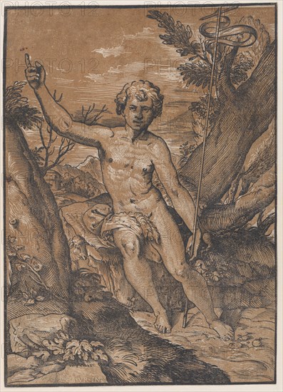 The young Saint John the Baptist in the wilderness, ca. 1520-27.