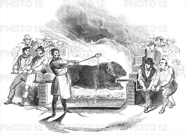 Roasting the ox