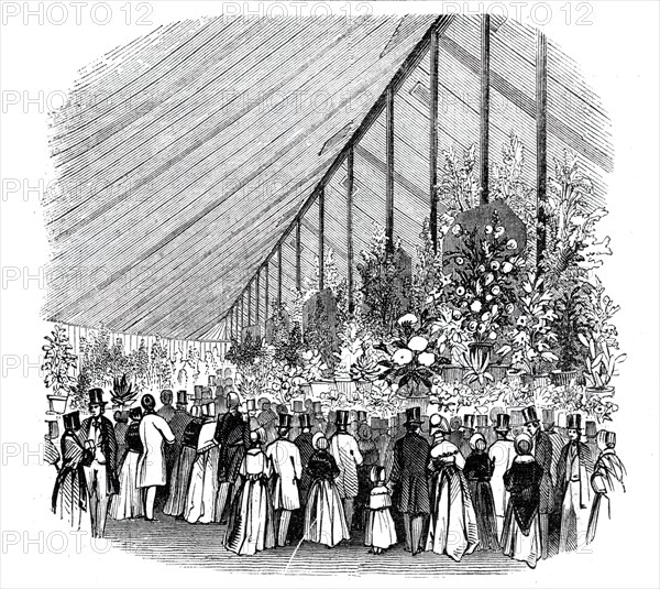 Principal Tent