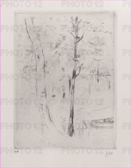 Landscape (Tree-trunks near a River)