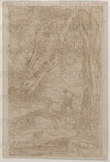 The Woodcutter of Rembrandt (Le Bûcheron de Rembrandt)