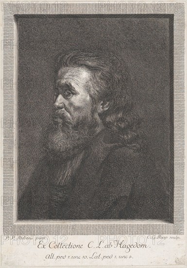 Portrait of an old man with a beard