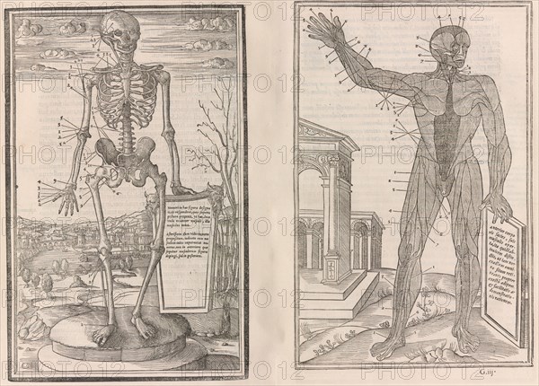 De dissectione partium corporis humani libri tres