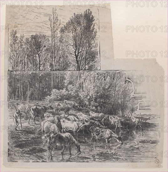 Herdsman and Cattle at Ford