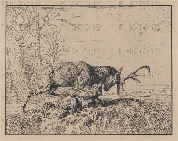 Stag Fighting a Wolf