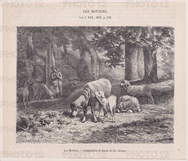 Les Moutons; from Magasin Pittoresque