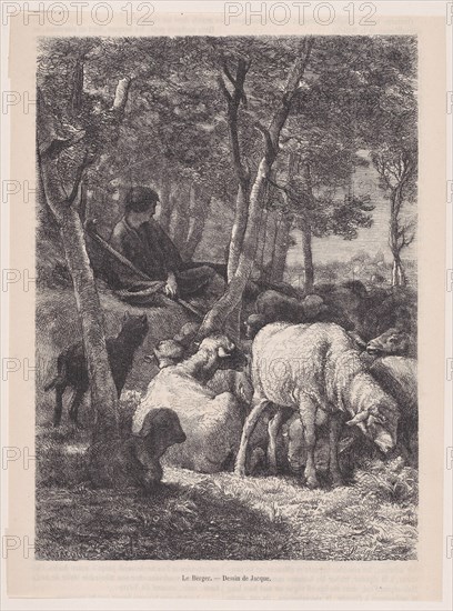 The Shepherd