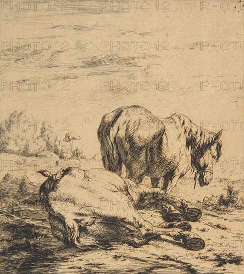 Two Horses