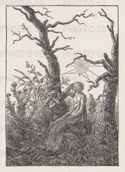 Seated Woman with a Spider's Web (Die Frau mit dem Spinnennnetz zwischen kahlen B...